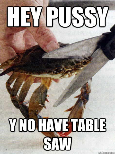 hey pussy y no have table saw  Optimistic Crab