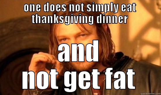 ONE DOES NOT SIMPLY EAT THANKSGIVING DINNER AND NOT GET FAT Boromir