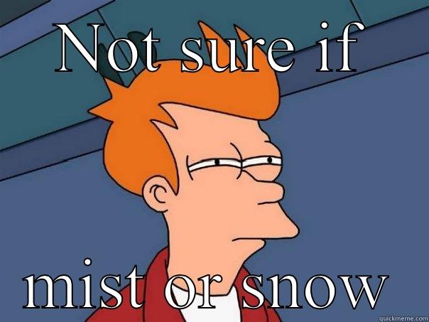 NOT SURE IF MIST OR SNOW Futurama Fry