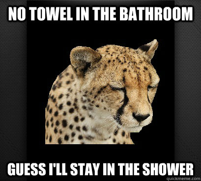 no towel in the bathroom guess i'll stay in the shower  Defeated Cheetah