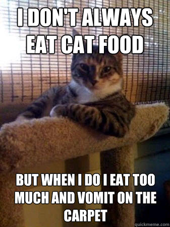 I don't always eat cat food but when i do i eat too much and vomit on the carpet  The Most Interesting Cat in the World