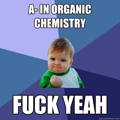 A- in organic chemistry fuck yeah  Success Kid