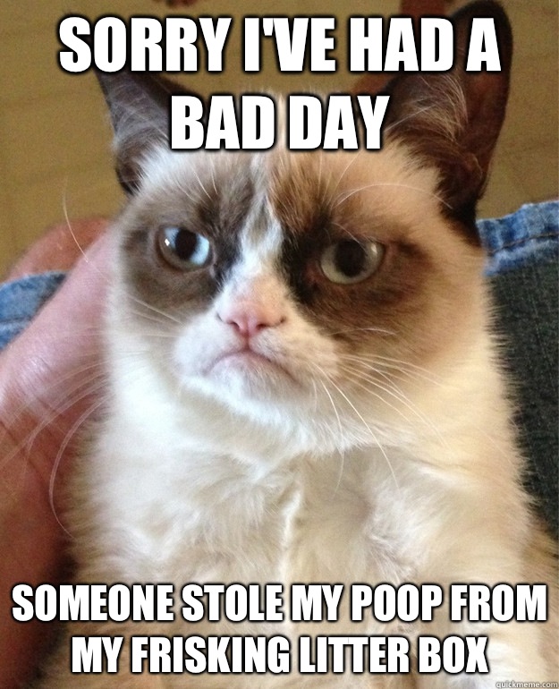 Sorry I've had a bad day  Someone stole my poop from my frisking litter box   Grumpy Cat