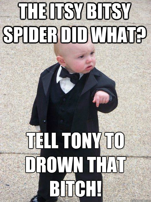 The itsy bitsy spider did what? Tell Tony to drown that bitch!   Baby Godfather