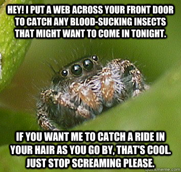 Hey! I put a web across your front door to catch any blood-sucking insects that might want to come in tonight. If you want me to catch a ride in your hair as you go by, that's cool. Just stop screaming please.  Misunderstood Spider