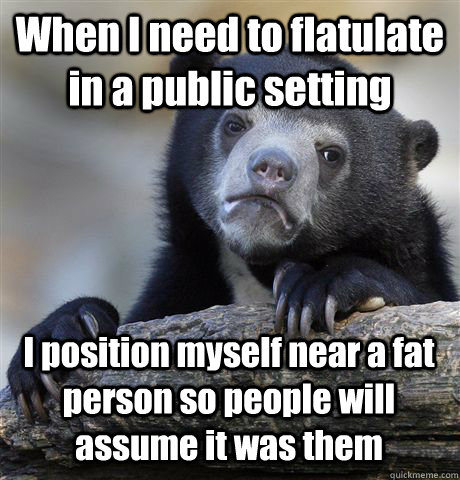 When I need to flatulate in a public setting I position myself near a fat person so people will assume it was them  Confession Bear