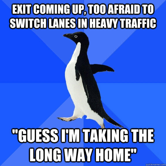 exit coming up, too afraid to switch lanes in heavy traffic 