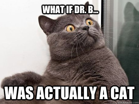 What if Dr. B... Was actually a cat  conspiracy cat