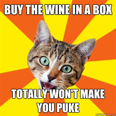 Buy the wine in a box Totally won't make you puke  Bad Advice Cat