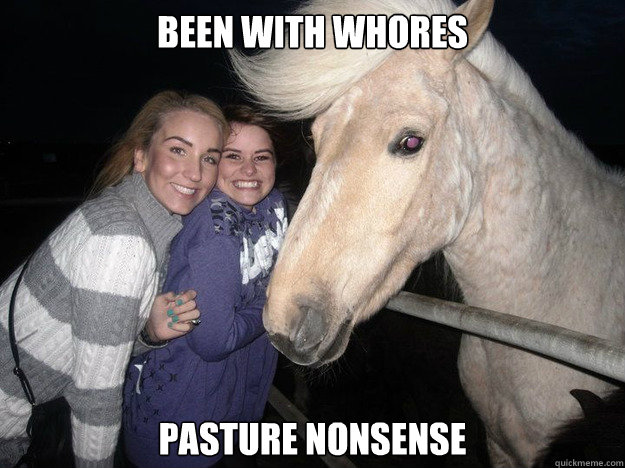 been with whores pasture nonsense  Ridiculously Photogenic Horse