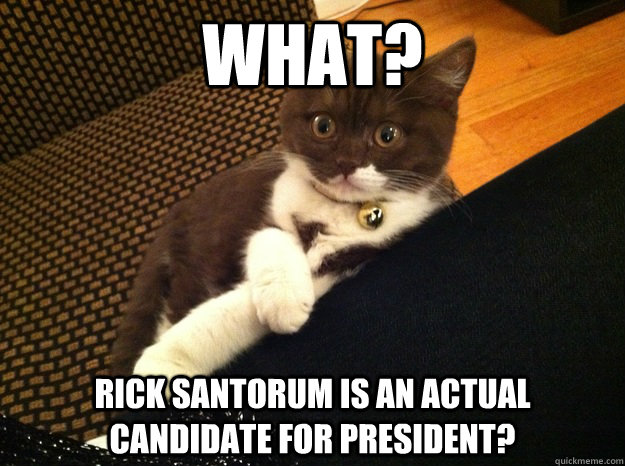 What? Rick Santorum is an actual candidate for president?  