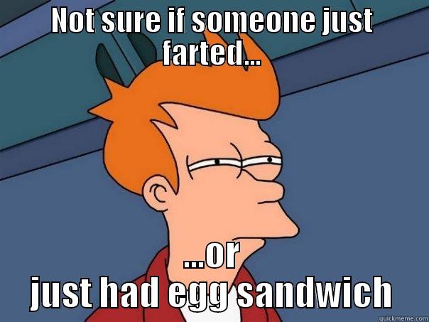 NOT SURE IF SOMEONE JUST FARTED... ...OR JUST HAD EGG SANDWICH Futurama Fry