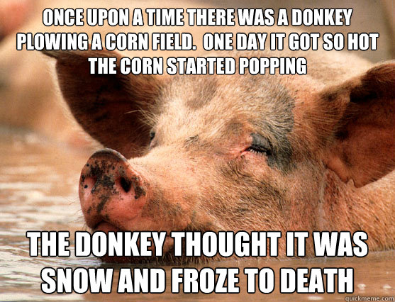 Once upon a time there was a donkey plowing a corn field.  One day it got so hot the corn started popping the donkey thought it was snow and froze to death - Once upon a time there was a donkey plowing a corn field.  One day it got so hot the corn started popping the donkey thought it was snow and froze to death  Stoner Pig