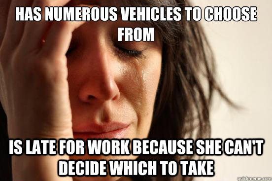 Has numerous vehicles to choose from Is late for work because she can't decide which to take  First World Problems