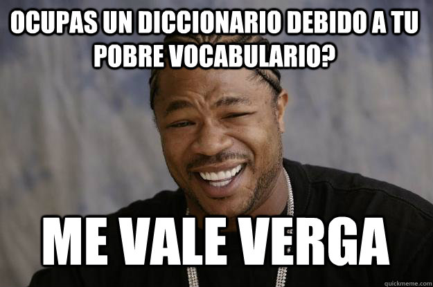 Ocupas un diccionario debido a tu pobre vocabulario? me vale verga - Ocupas un diccionario debido a tu pobre vocabulario? me vale verga  Xzibit meme