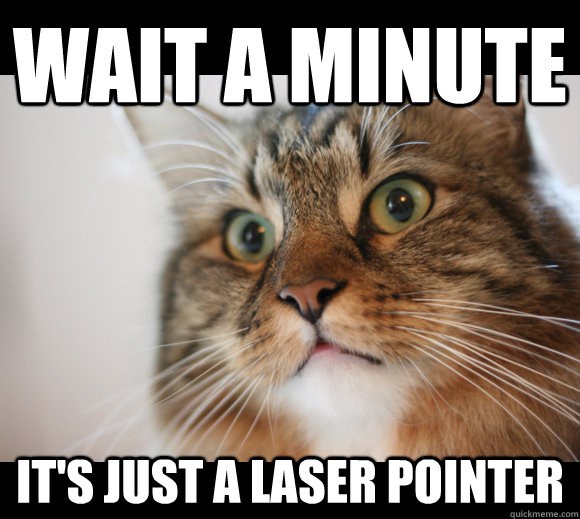 wait a minute it's just a laser pointer  Sudden Clarity Cat