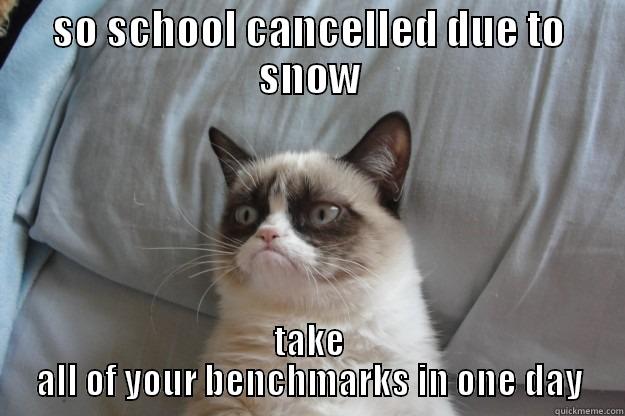 SO SCHOOL CANCELLED DUE TO SNOW TAKE ALL OF YOUR BENCHMARKS IN ONE DAY Grumpy Cat