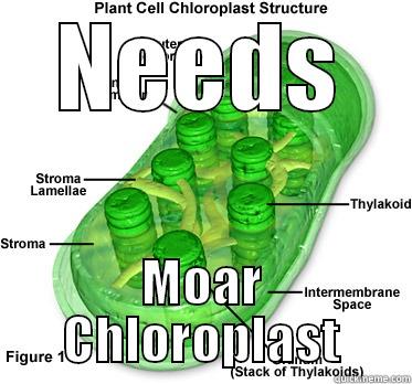 Chloroplast Pl0x - NEEDS MOAR CHLOROPLAST Misc