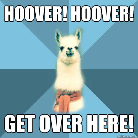 Hoover! hoover! Get over here!  Linguist Llama