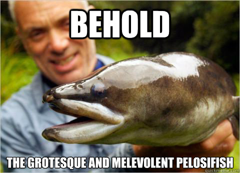 Behold the grotesque and melevolent pelosifish - Behold the grotesque and melevolent pelosifish  River Monsters Meme