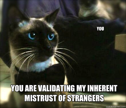 You You are validating my inherent mistrust of strangers  