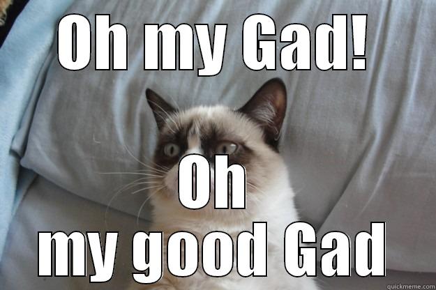 OH MY GAD! OH MY GOOD GAD Grumpy Cat