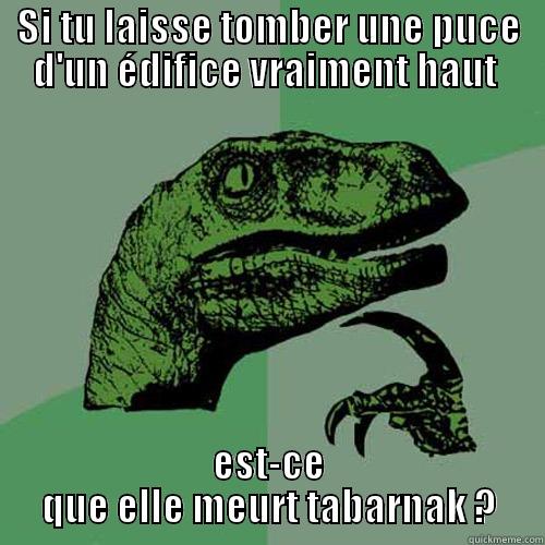 pas rapport - SI TU LAISSE TOMBER UNE PUCE D'UN ÉDIFICE VRAIMENT HAUT  EST-CE QUE ELLE MEURT TABARNAK ? Philosoraptor