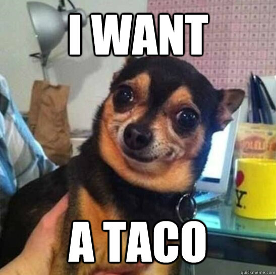 i want a taco - i want a taco  paco