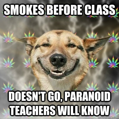 smokes before class doesn't go, paranoid teachers will know  Stoner Dog