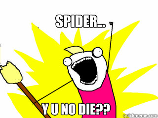 Spider... y u no die?? - Spider... y u no die??  All The Things