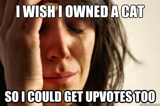 I wish I owned a cat So I could get upvotes too  First World Problems