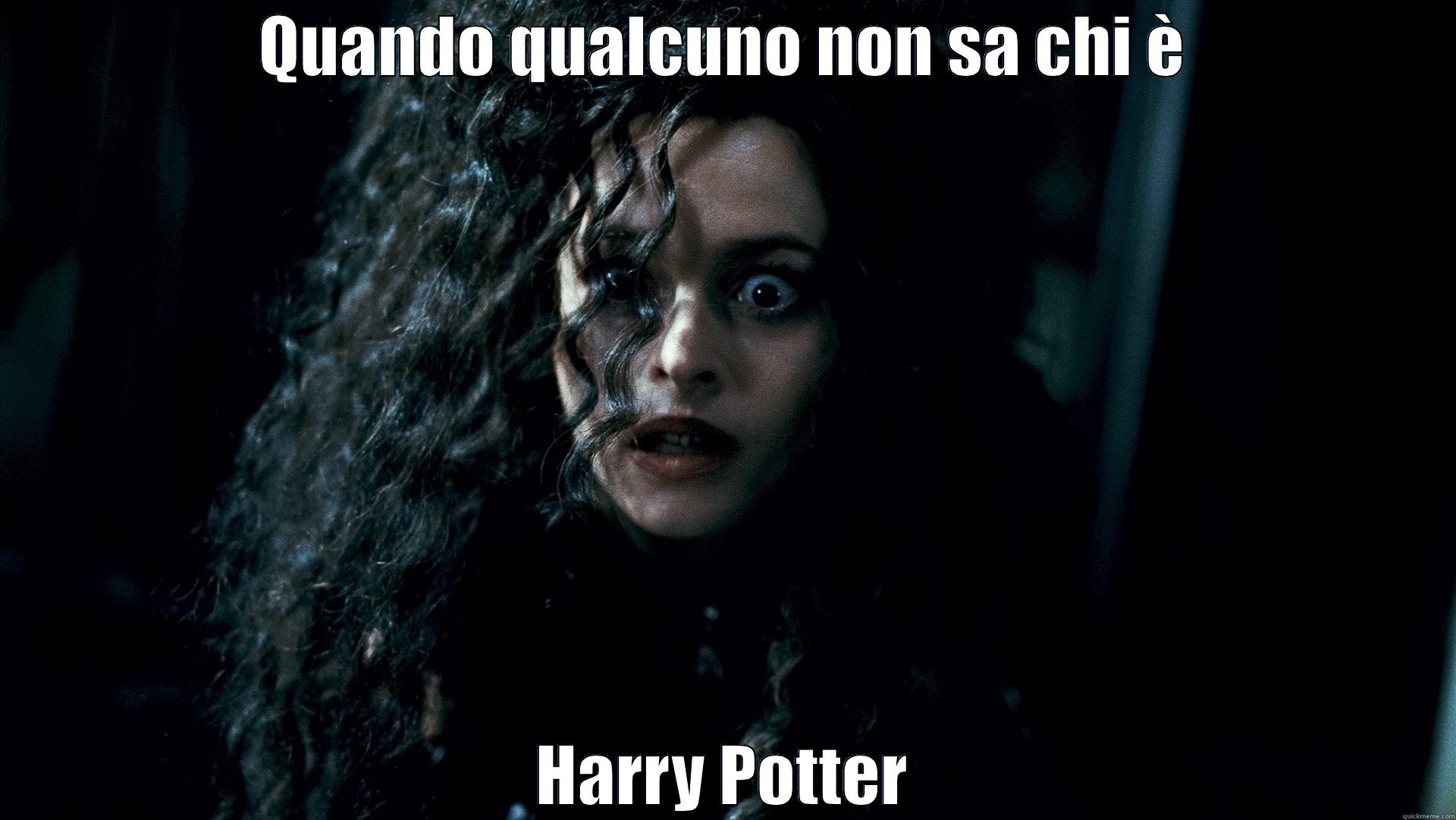 QUANDO QUALCUNO NON SA CHI È HARRY POTTER Misc