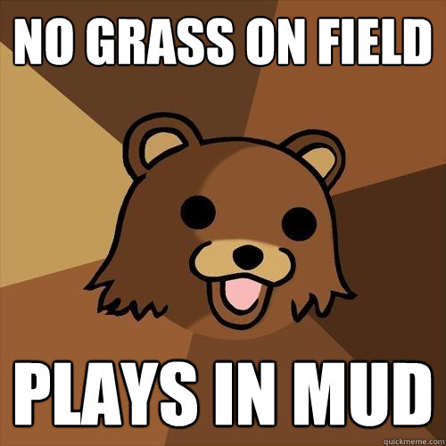 No grass on field plays in mud   Pedobear