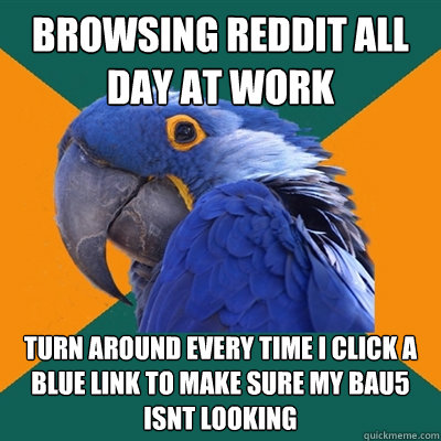 browsing reddit all day at work turn around every time i click a blue link to make sure my bau5 isnt looking  Paranoid Parrot