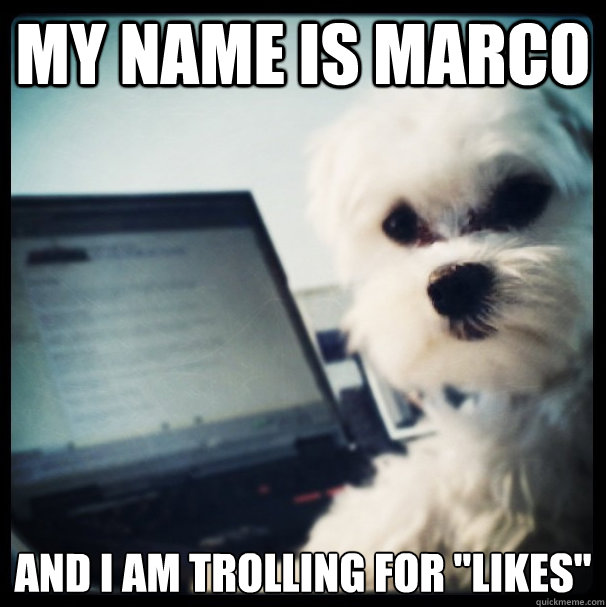 My name is marco And i am trolling for 