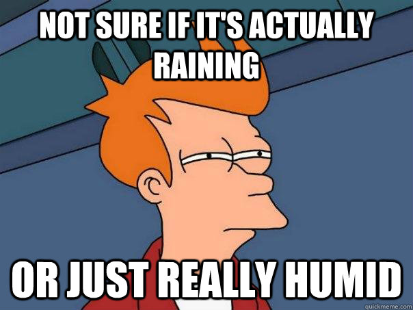Not sure if it's actually raining or just really humid - Not sure if it's actually raining or just really humid  Futurama Fry