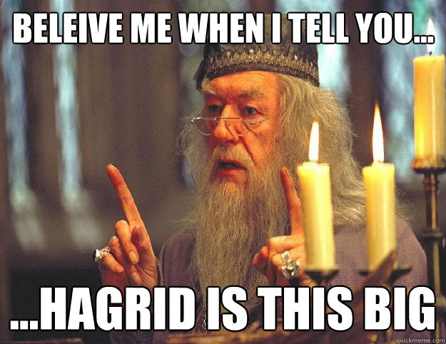 Beleive me when I tell you... ...Hagrid is this big  Scumbag Dumbledore