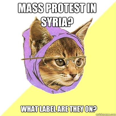 MASS PROTEST IN SYRIA? WHAT LABEL ARE THEY ON?  Hipster Kitty