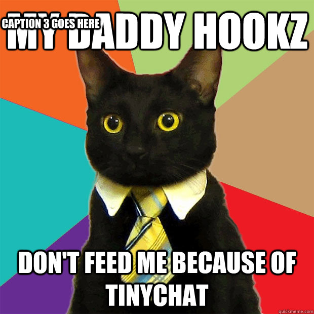 MY daddy Hookz don't feed me because of Tinychat Caption 3 goes here  Business Cat