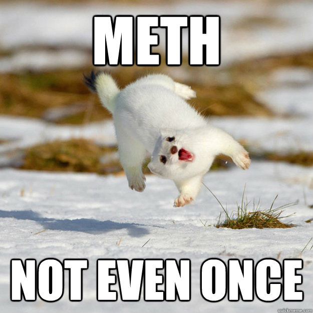 METH Not even once - METH Not even once  stoned stoat