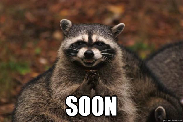  SOON -  SOON  Evil Plotting Raccoon