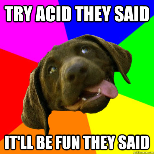 try acid they said it'll be fun they said - try acid they said it'll be fun they said  Acid Dog