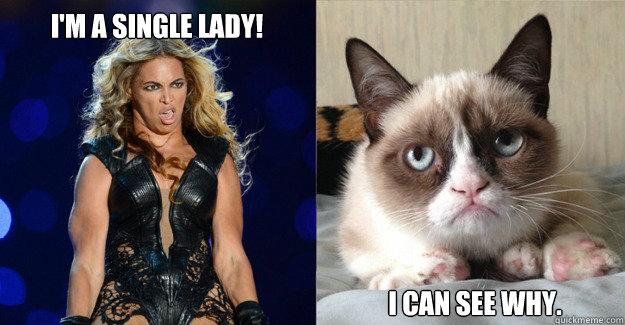 I'm a single lady! I can see why. - I'm a single lady! I can see why.  Tard Hates Beyonce