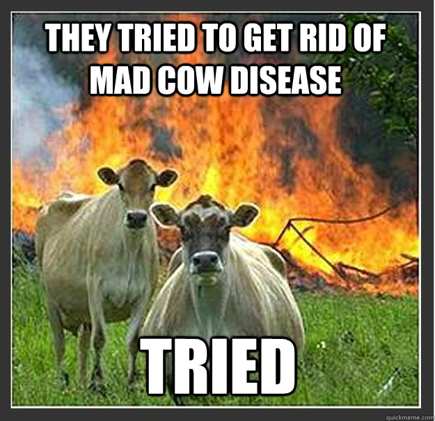 They tried to get rid of Mad Cow Disease Tried  Evil cows