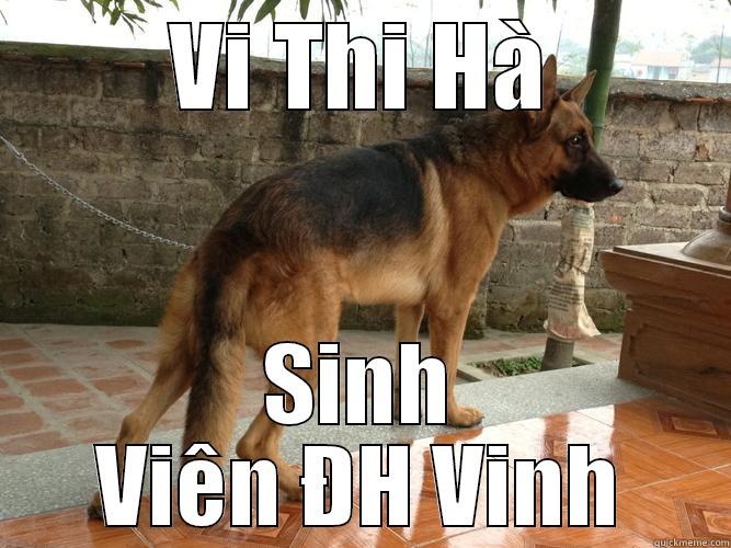 Quá Nhọ - VI THI HÀ SINH VIÊN ĐH VINH Misc