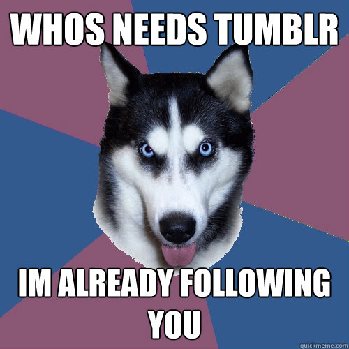 whos needs tumblr Im already following you  Creeper Canine