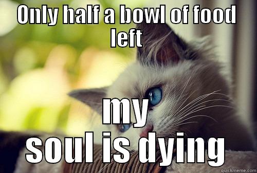 ONLY HALF A BOWL OF FOOD LEFT MY SOUL IS DYING First World Problems Cat