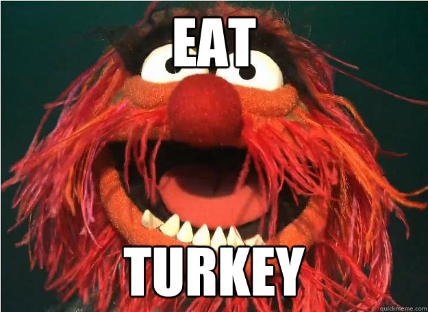 Eat Turkey  Advice Animal