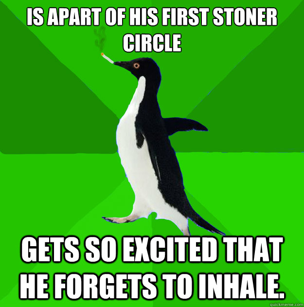 is apart of his first stoner circle gets so excited that he forgets to inhale. - is apart of his first stoner circle gets so excited that he forgets to inhale.  Stoner Penguin