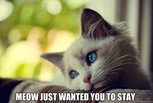  Meow just wanted you to stay  First World Problems Cat